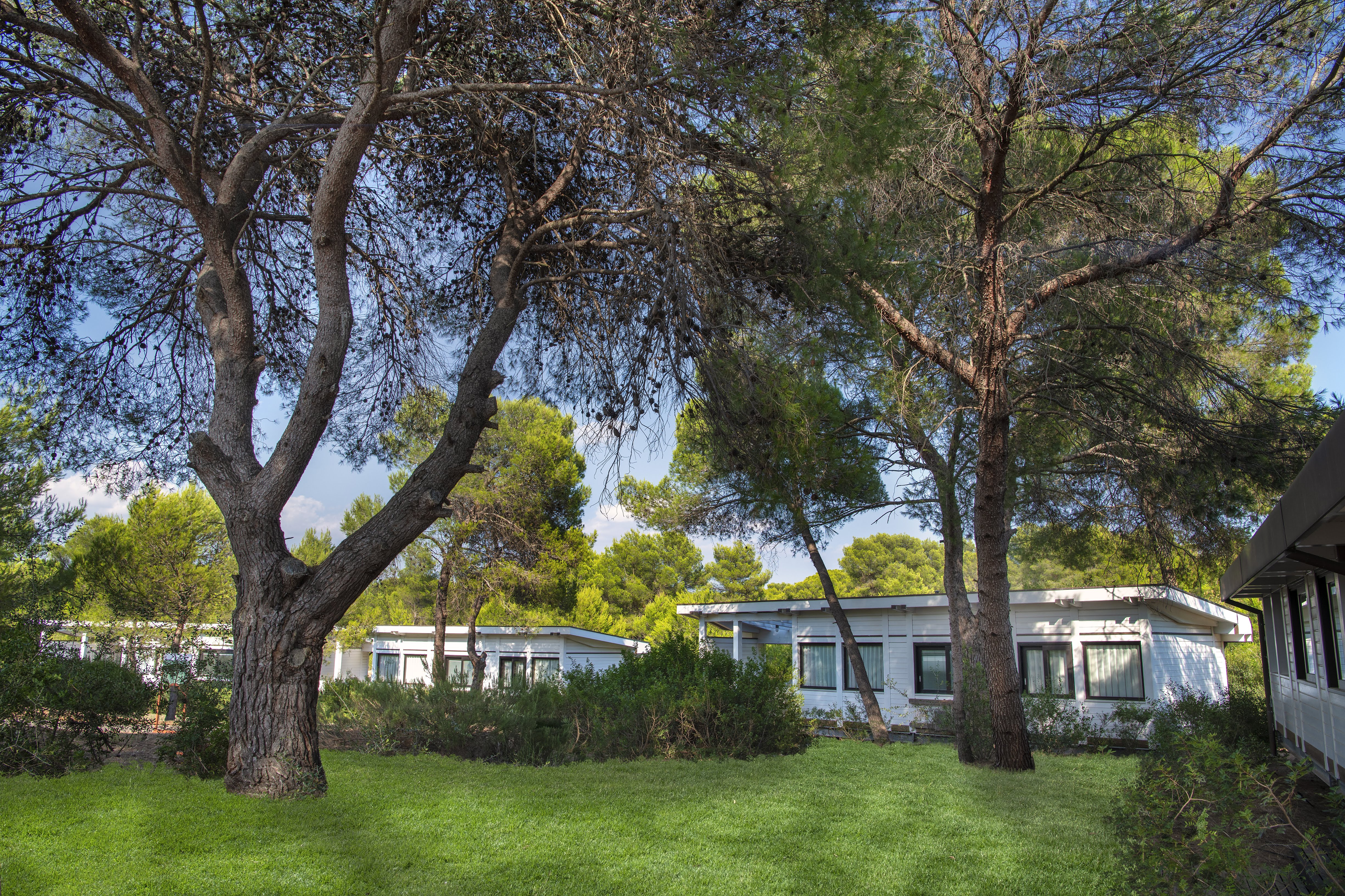 Alborea Ecolodge Resort